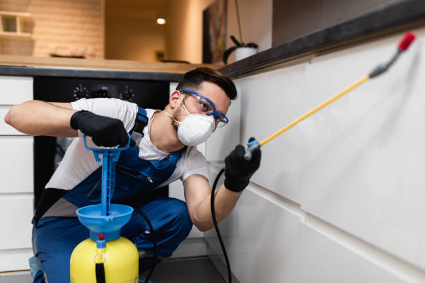 Best Rat Extermination Near Me  in East Palestine, OH