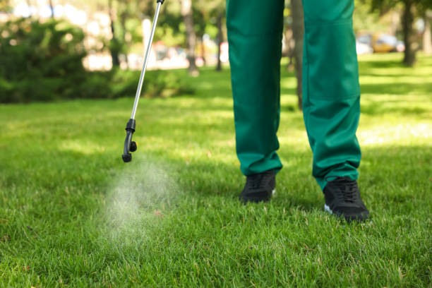 Best Bed Bug Extermination  in East Palestine, OH