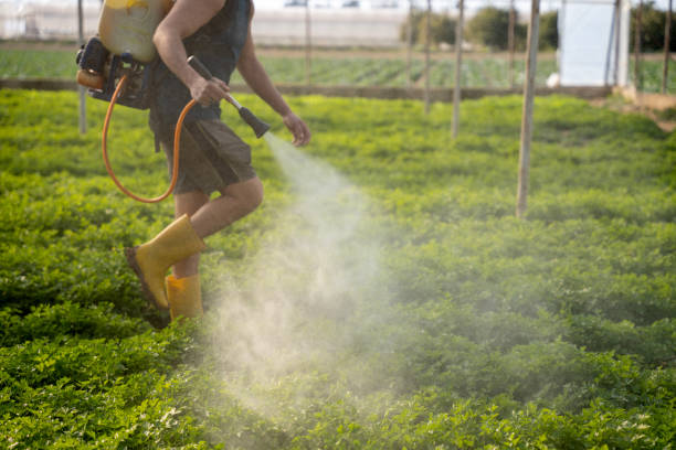 Best Affordable Pest Control Services  in East Palestine, OH