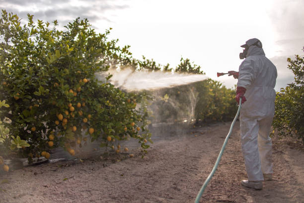 Best Pest Prevention Services  in East Palestine, OH