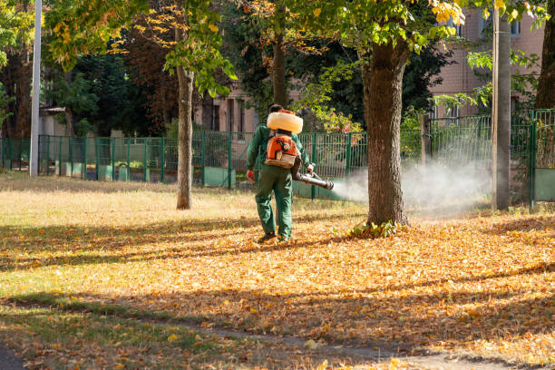Best Flea Control Services  in East Palestine, OH