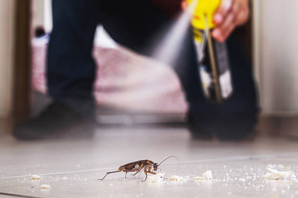 Best Insect Control  in East Palestine, OH